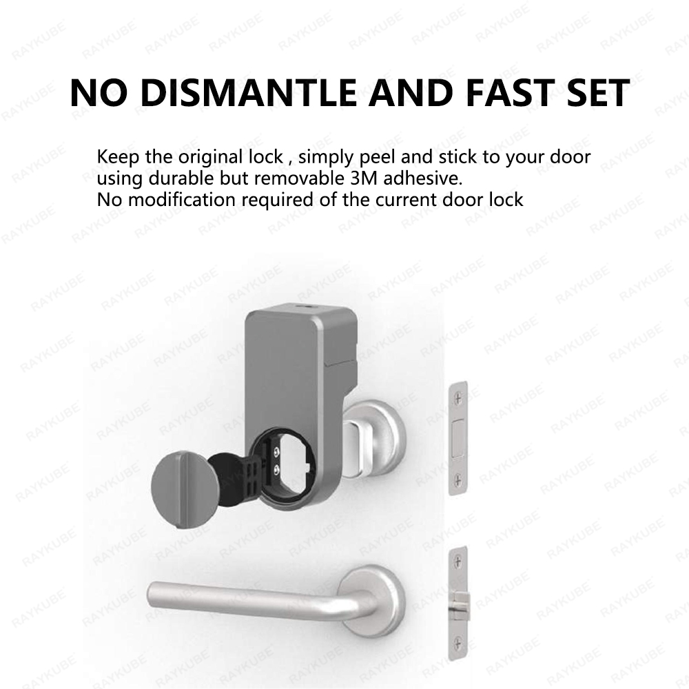 RAYKUBE A1 Pro Tuya BEL Smart  - Door Lock Smart Keypad recensie en prijs