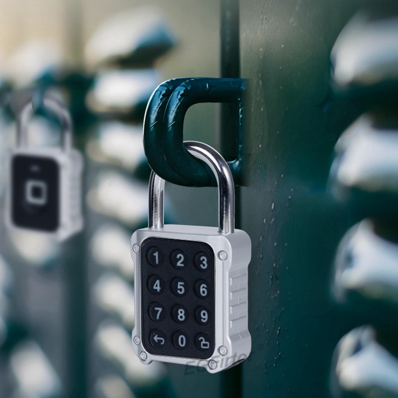 Tuya Bluetooth APP Afstandsbed - Door Lock Smart Keypad recensie en prijs