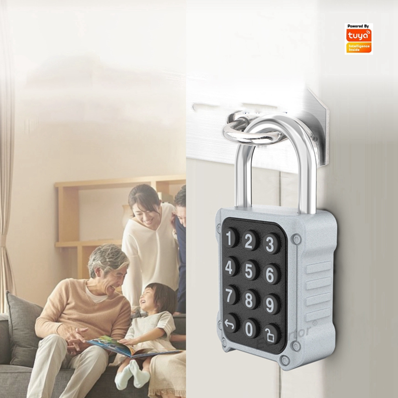 Tuya Bluetooth APP Afstandsbed - Door Lock Smart Keypad recensie en prijs