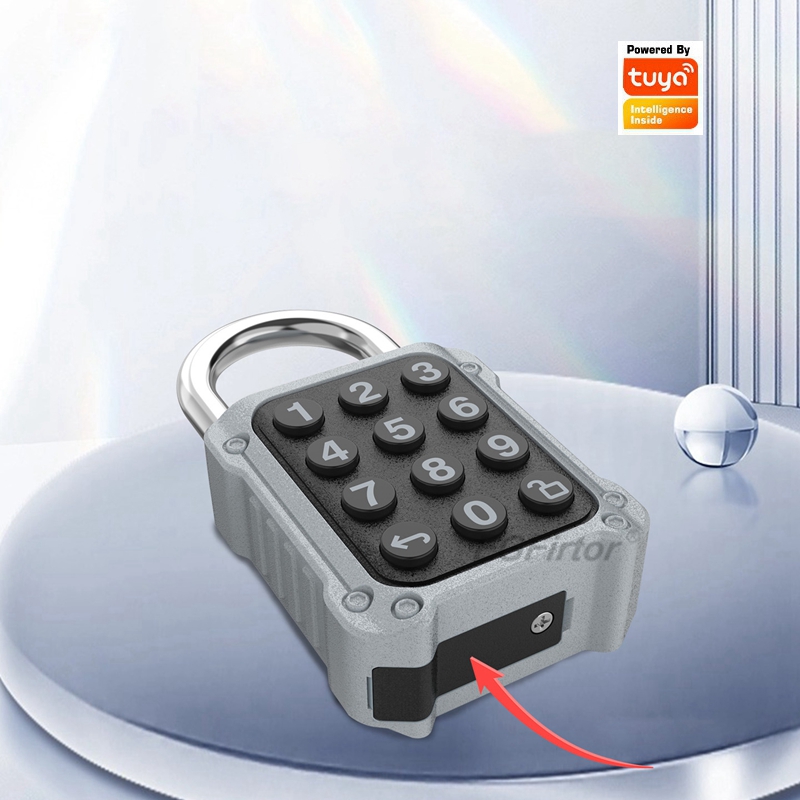 EGFirtor Tuya APP Elektronisch - Door Lock Smart Keypad recensie en prijs